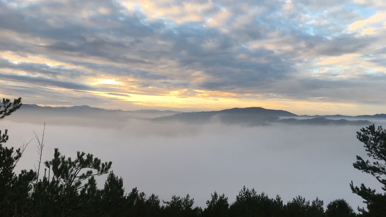 Photo of Others in Civitella di Romagna