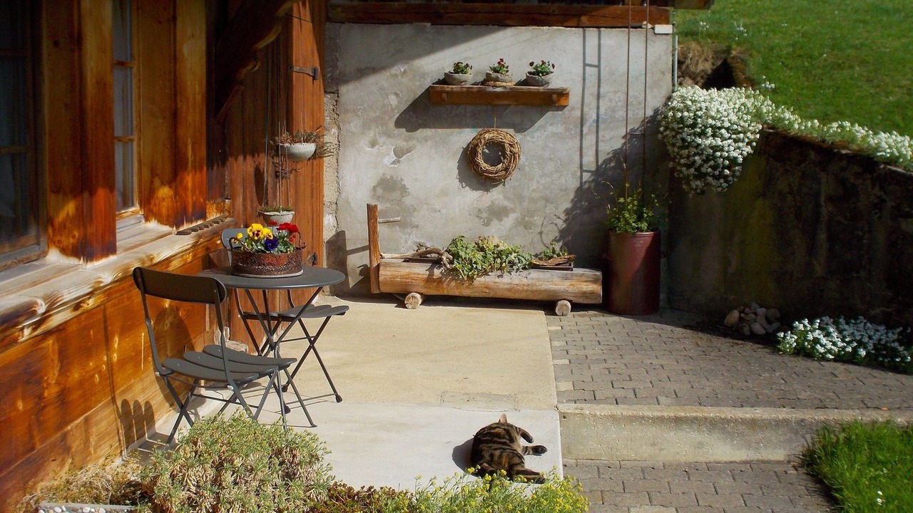 Photo of Outdoor in Trub