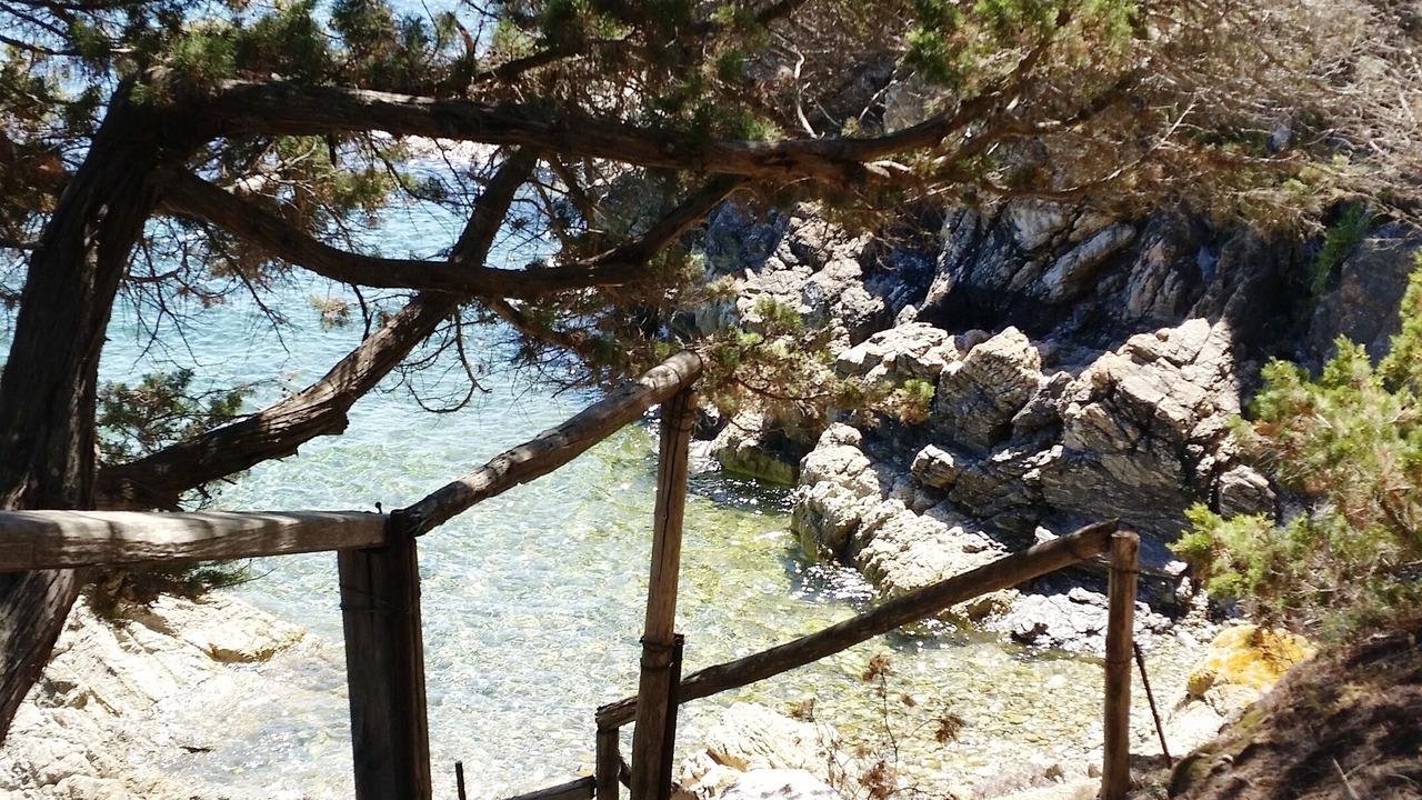 Photo of Others in Golfo di Marinella