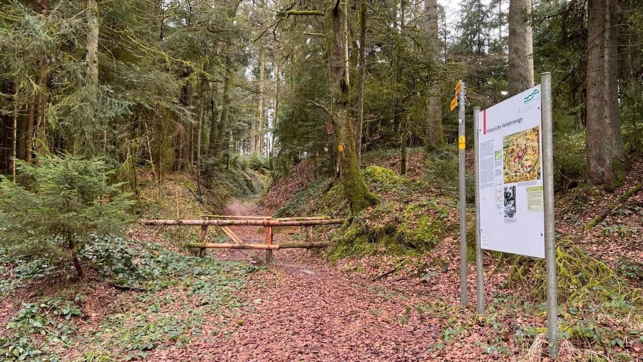 Photo of Others in Pfaffnau