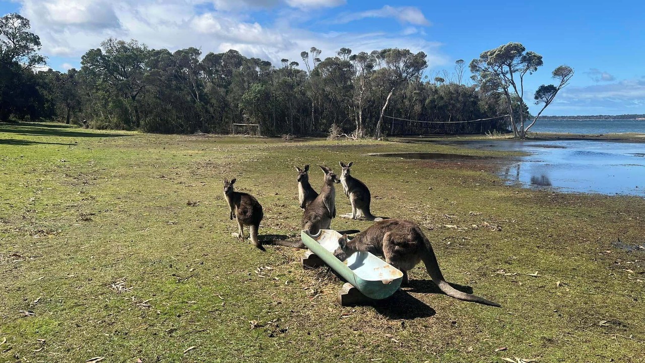 Photo of Others in Forge Creek