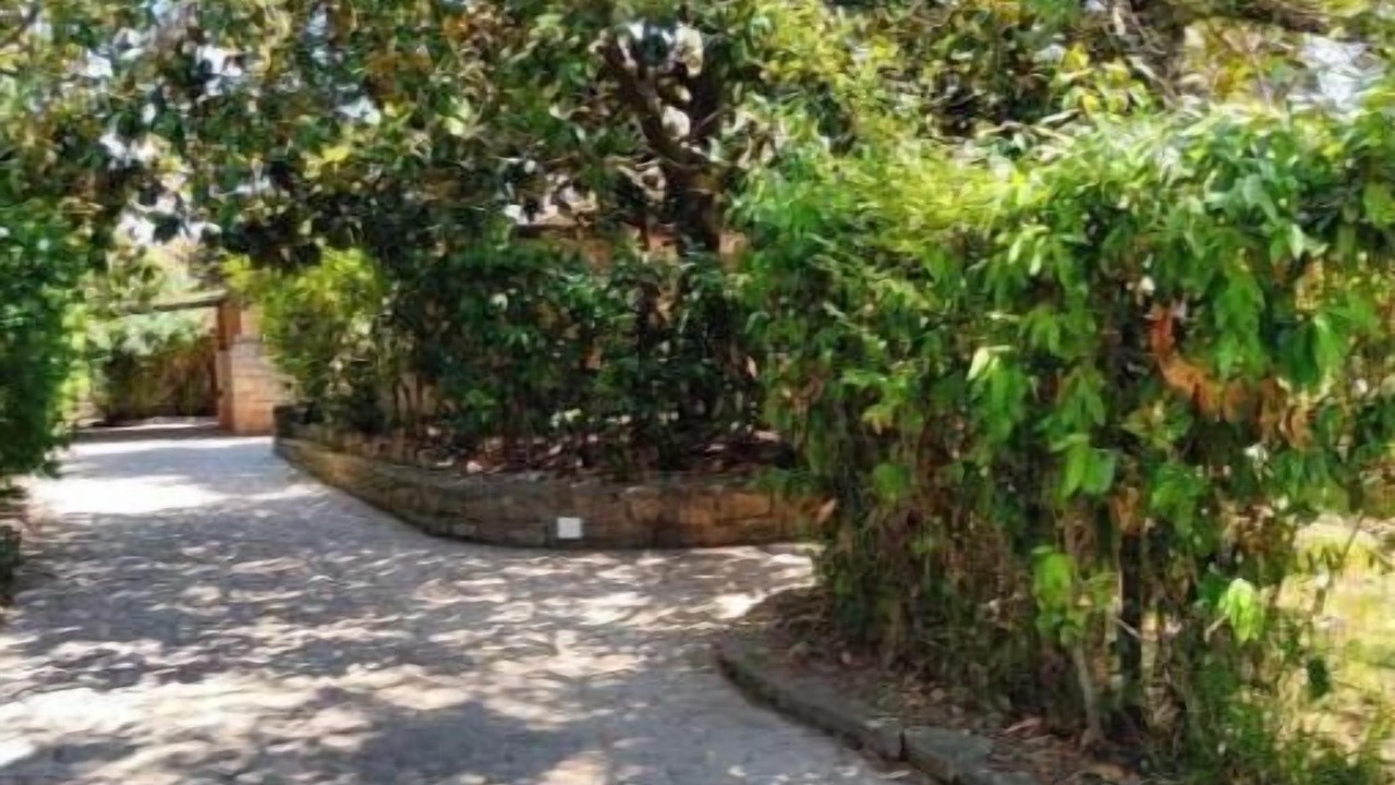 Photo of Outdoor in Ascea