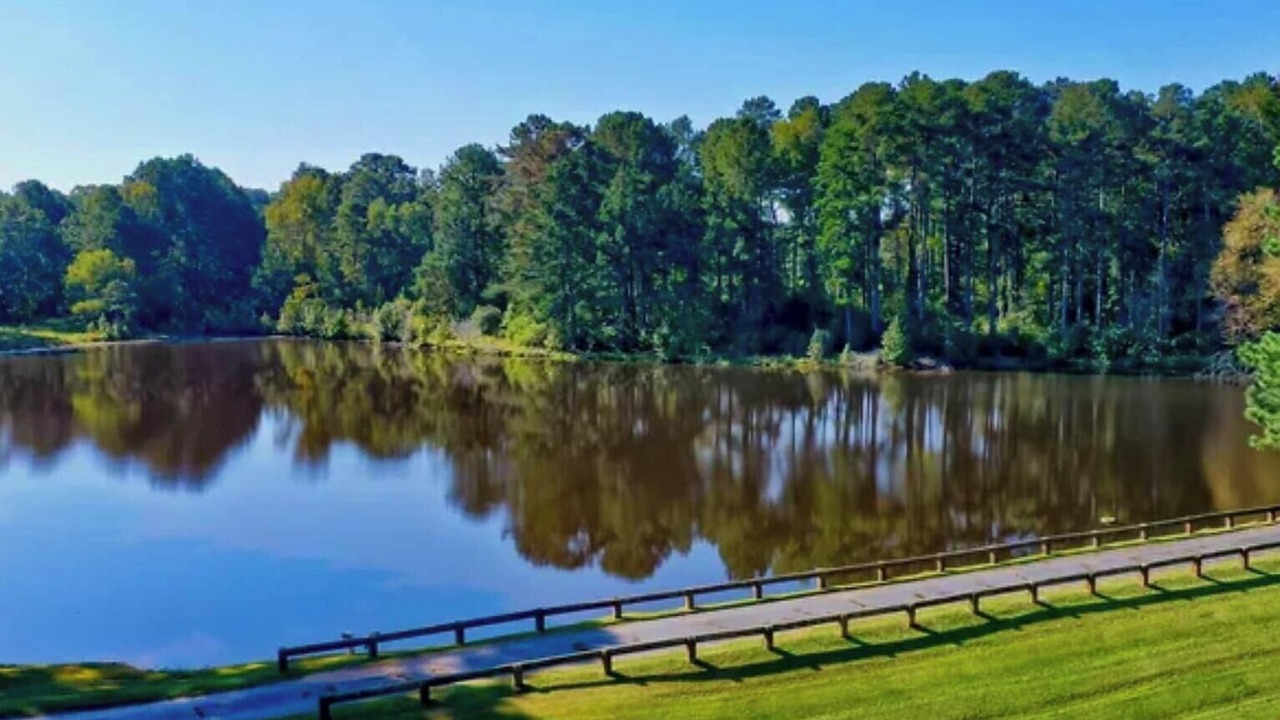 Photo of Others in Greensboro