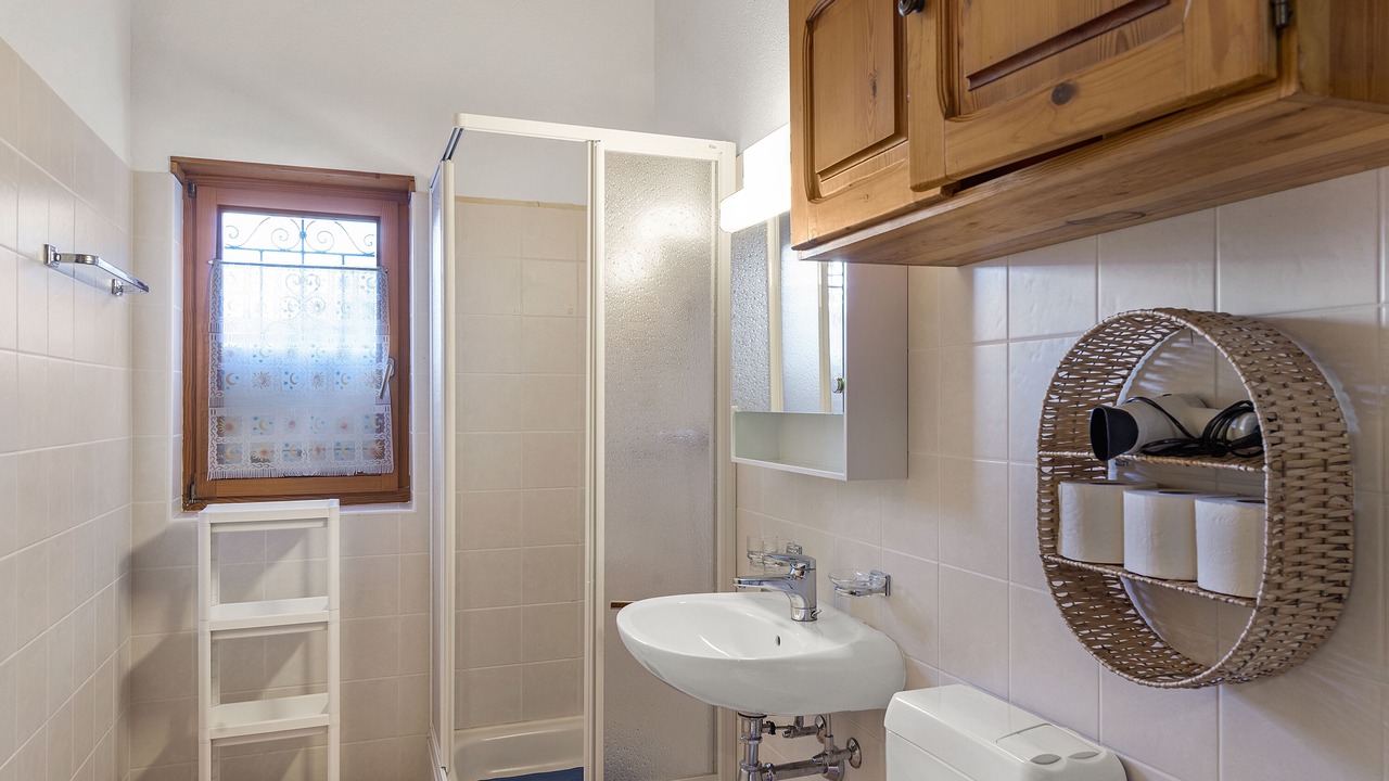 Photo of Bathroom in Valcolla
