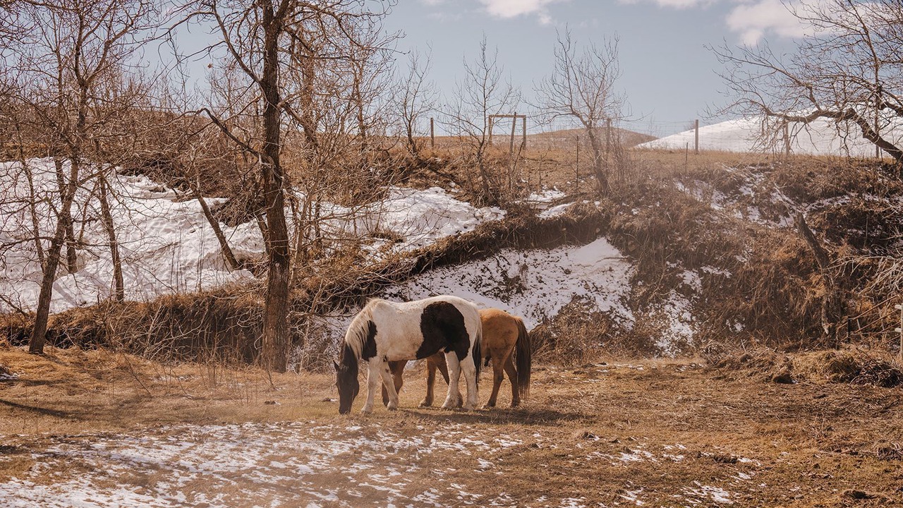 Photo of Others in Pincher Creek