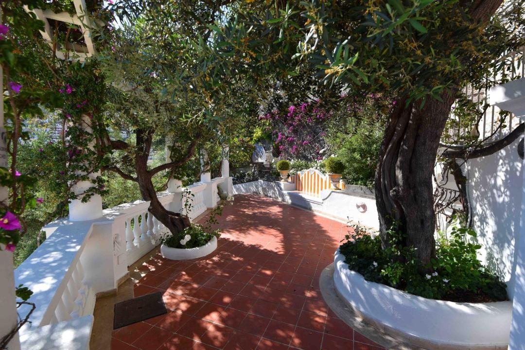 Photo of Others in Positano
