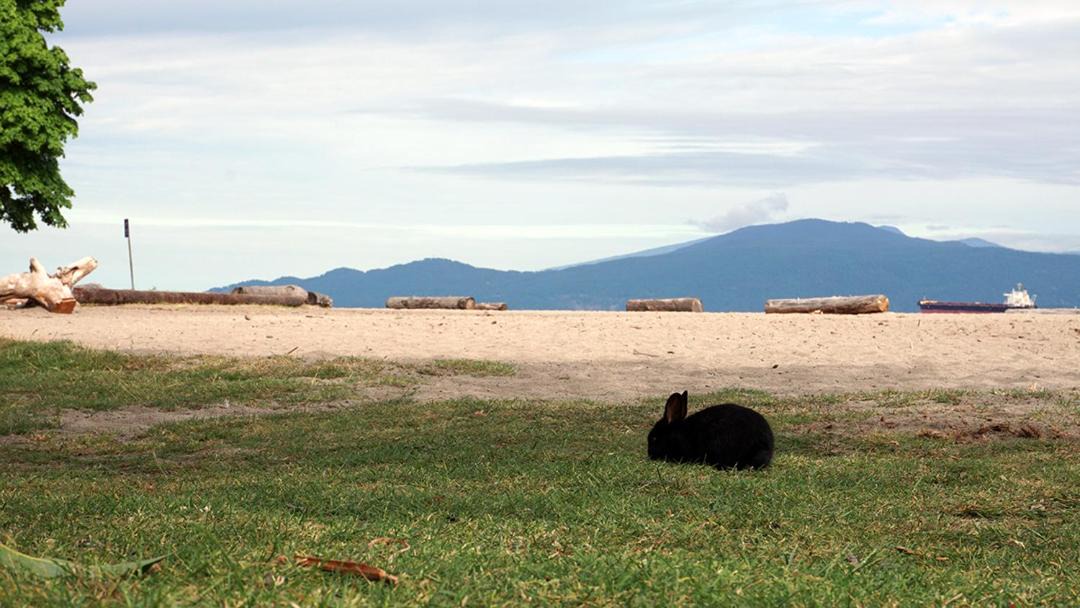 Photo of Others in West Point Grey
