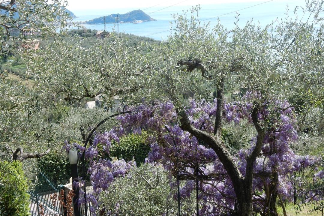 Photo of Others in Santa Giulia
