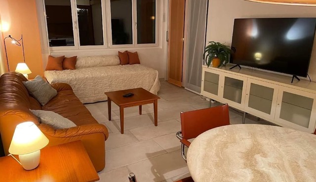 Apartment "Lago Moments" with mountain view in Brissago