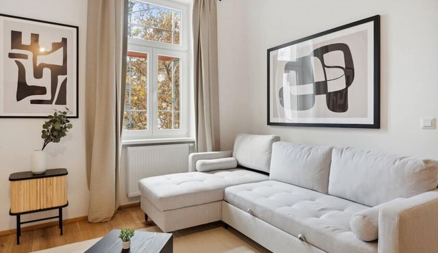 Big spacious apartment for group in Vienna