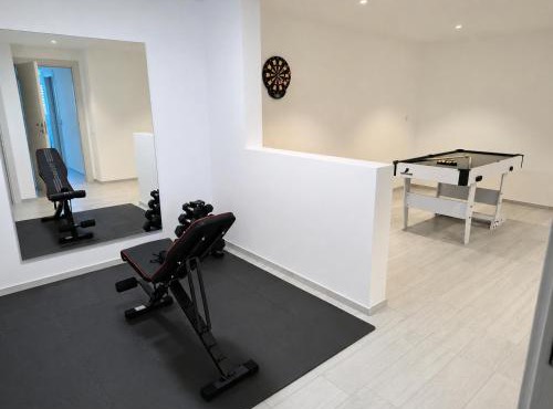 Villa Sementina - Private Pool & HomeGym - Business & Leisure stay in Bellinzona